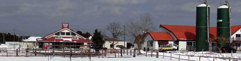 マザー牧場にて