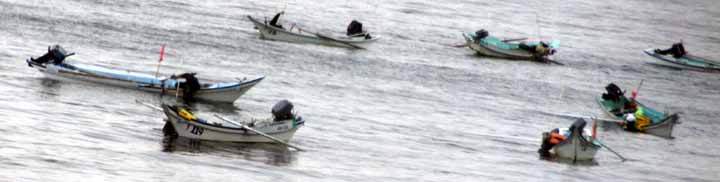 島民がウニ捕り漁のアルバイト