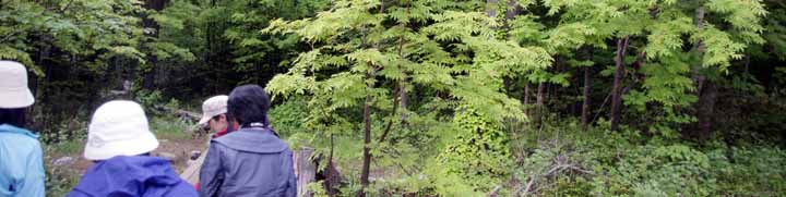 花ガイドさんが丁寧に説明してくれる