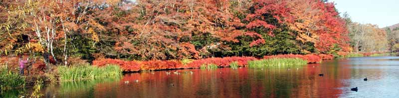 雲場池の湖面に紅葉が映える