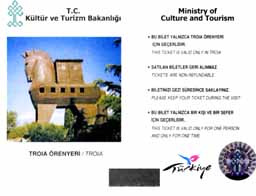 トロイの木馬チケット