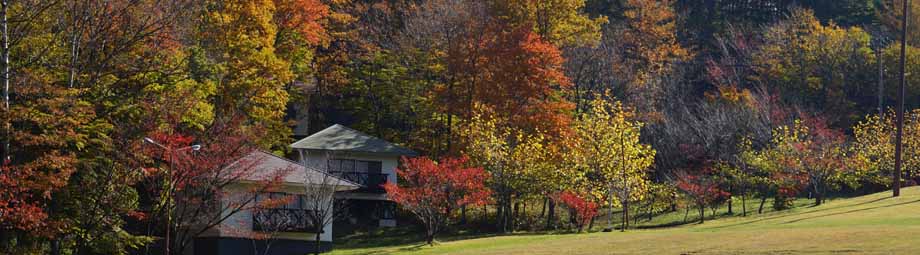 紅葉がまっさかりです