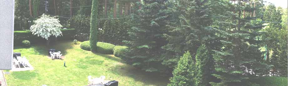 泊まった部屋から観た緑