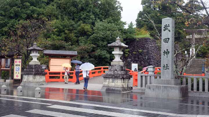 This picture is for quick loading of picture.