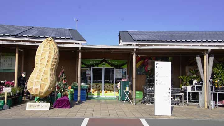 This picture is for quick loading of picture.