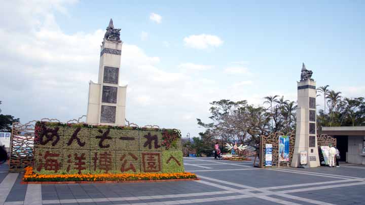 This picture is for quick loading of picture.