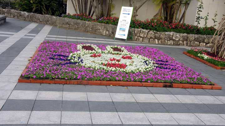 This picture is for quick loading of picture.