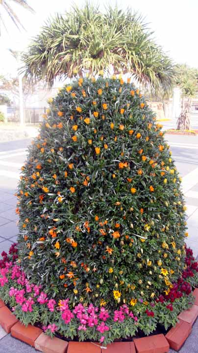 This picture is for quick loading of picture.