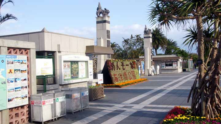 This picture is for quick loading of picture.