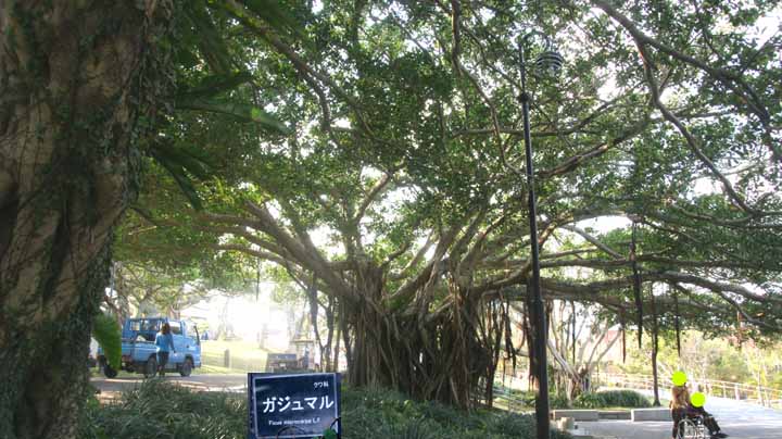 This picture is for quick loading of picture.