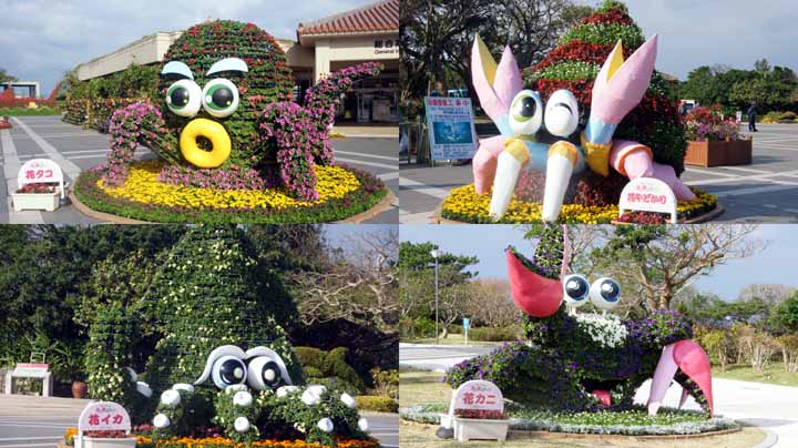 This picture is for quick loading of picture.