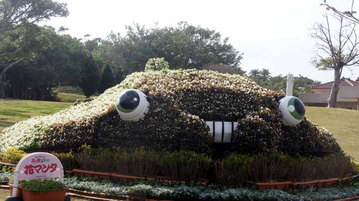 This picture is for quick loading of picture.