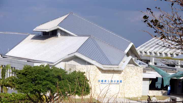 This picture is for quick loading of picture.