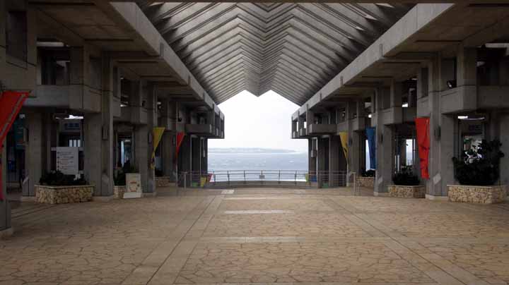 This picture is for quick loading of picture.