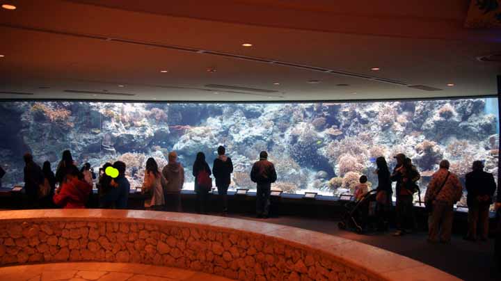 This picture is for quick loading of picture.