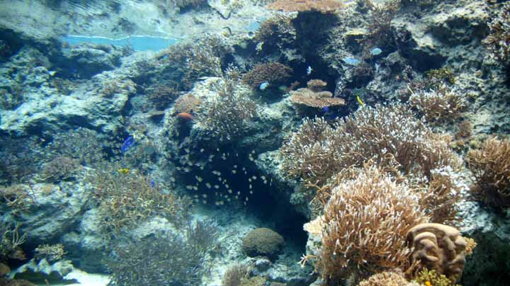 This picture is for quick loading of picture.