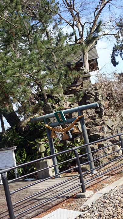 This picture is for quick loading of picture.