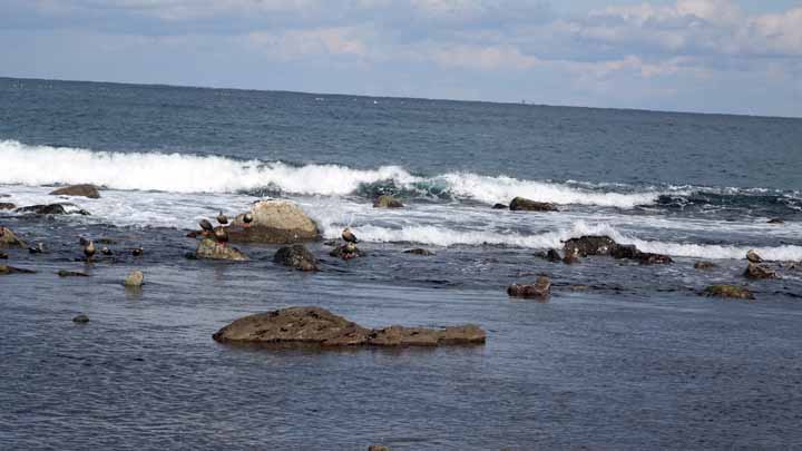 This picture is for quick loading of picture.