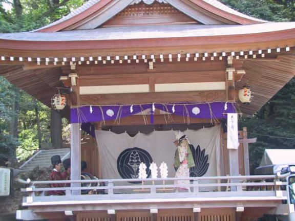 This picture is for quick loading of picture.