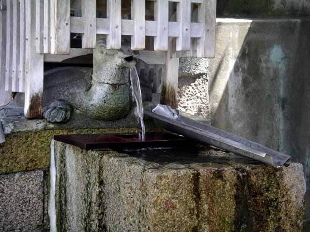 This picture is for quick loading of picture.