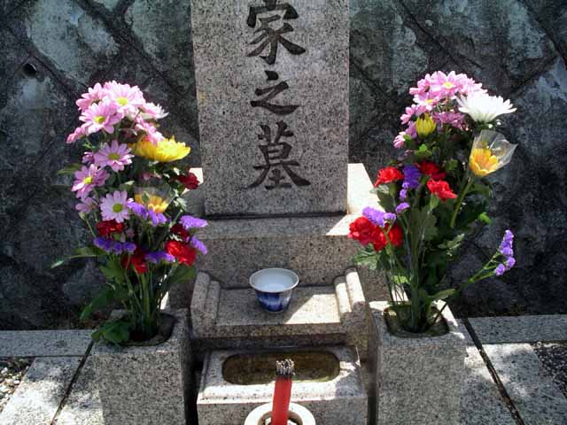 This picture is for quick loading of picture.