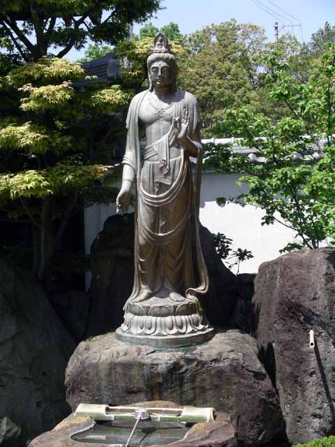 This picture is for quick loading of picture.