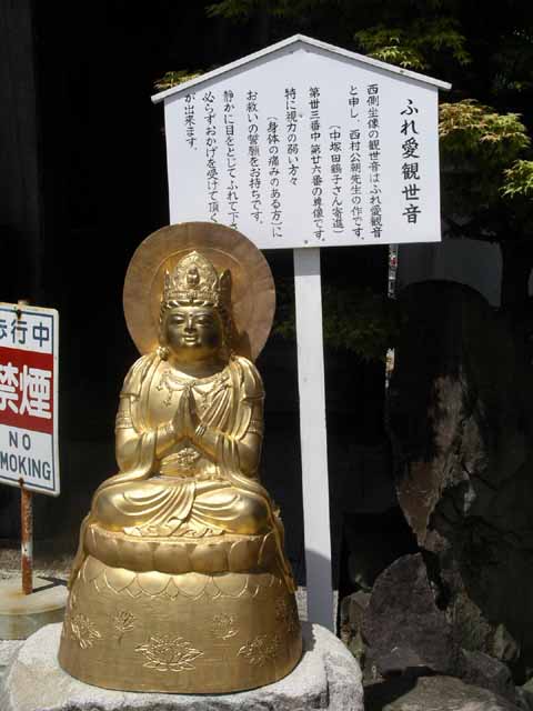 This picture is for quick loading of picture.