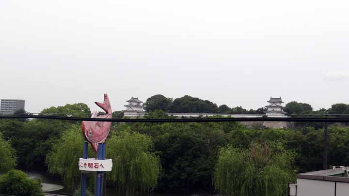 D8A03314.jpg
 ORG[720 x 405] NOW[ 720 x 405]
(�␳�O�{��98���{���␳������100���ŕ\����)