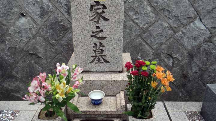 This picture is for quick loading of picture.