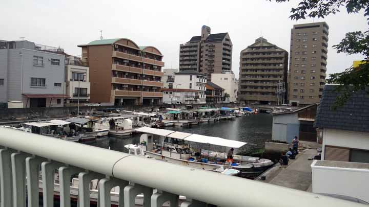 This picture is for quick loading of picture.