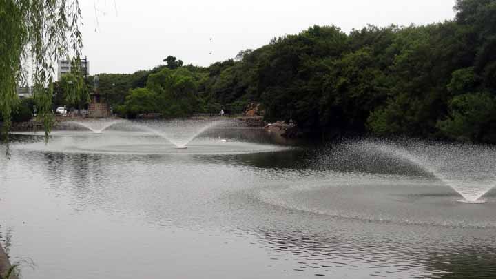 This picture is for quick loading of picture.