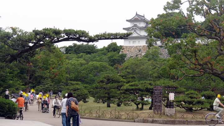 This picture is for quick loading of picture.