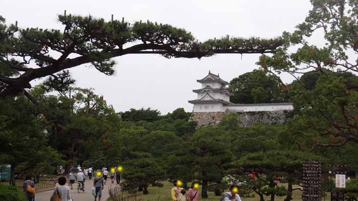 This picture is for quick loading of picture.