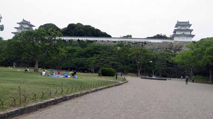 This picture is for quick loading of picture.