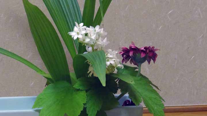 This picture is for quick loading of picture.