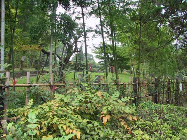 IMG_1478.jpg
 ORG[640 x 480] NOW[ 640 x 480]
(�␳�O�{�����{���␳������100���ŕ\����)