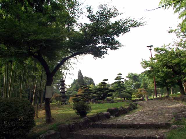 This picture is for quick loading of picture.