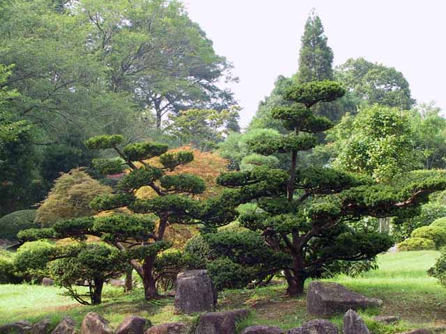 This picture is for quick loading of picture.