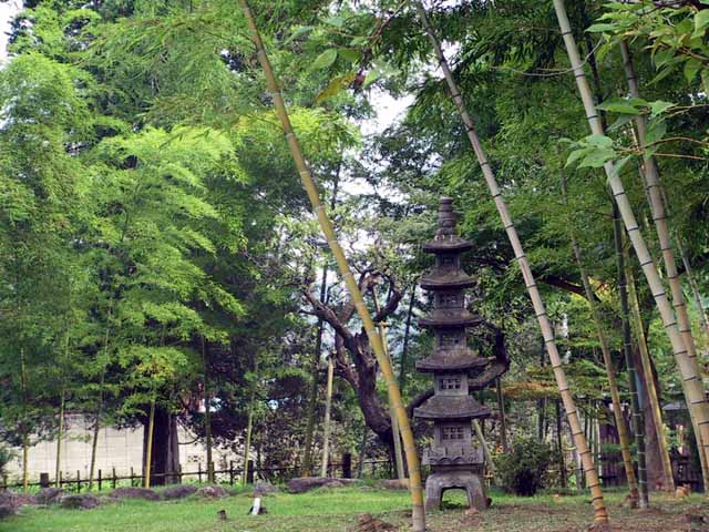 This picture is for quick loading of picture.