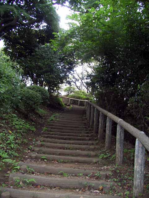 This picture is for quick loading of picture.