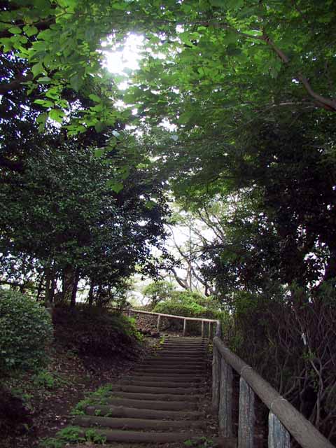 This picture is for quick loading of picture.