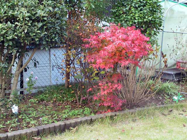 This picture is for quick loading of picture.