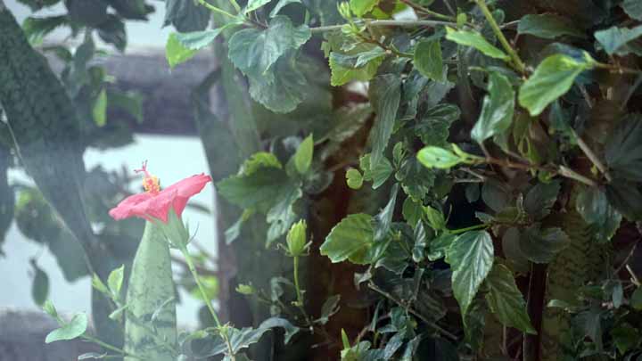 This picture is for quick loading of picture.