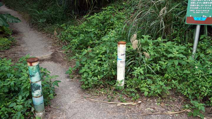 This picture is for quick loading of picture.