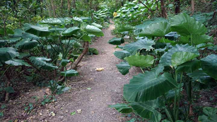 This picture is for quick loading of picture.