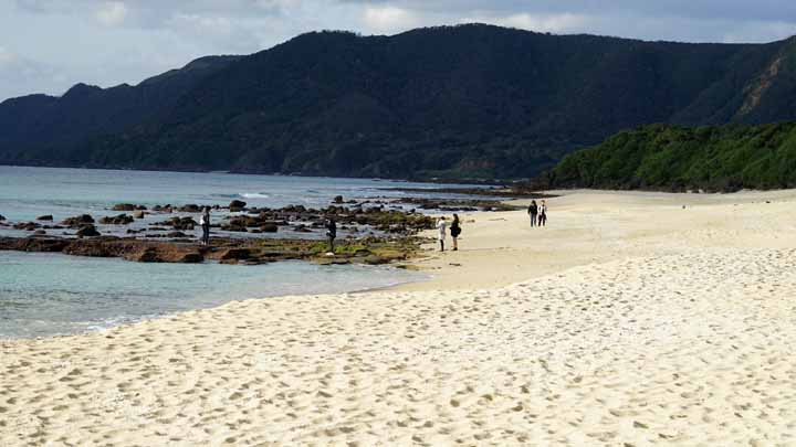 This picture is for quick loading of picture.