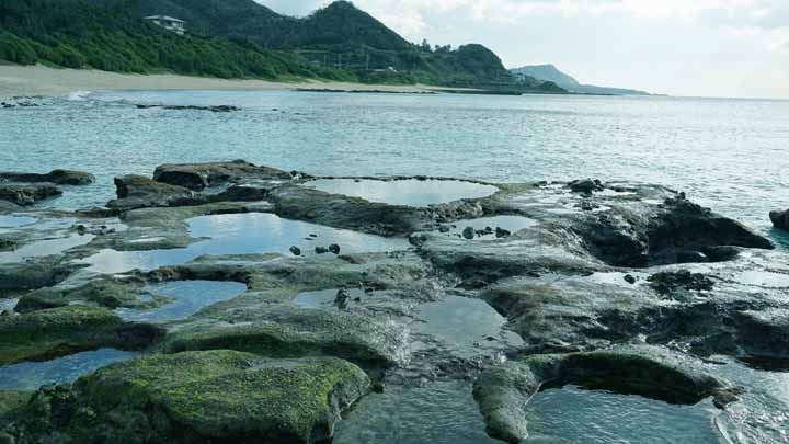 This picture is for quick loading of picture.