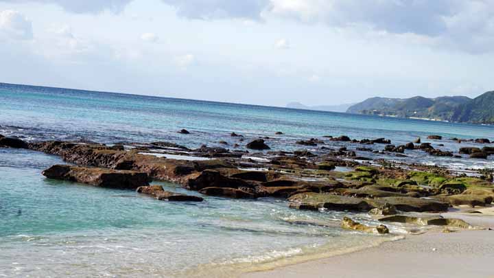 This picture is for quick loading of picture.