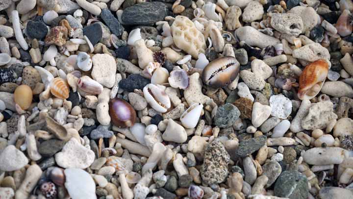 This picture is for quick loading of picture.