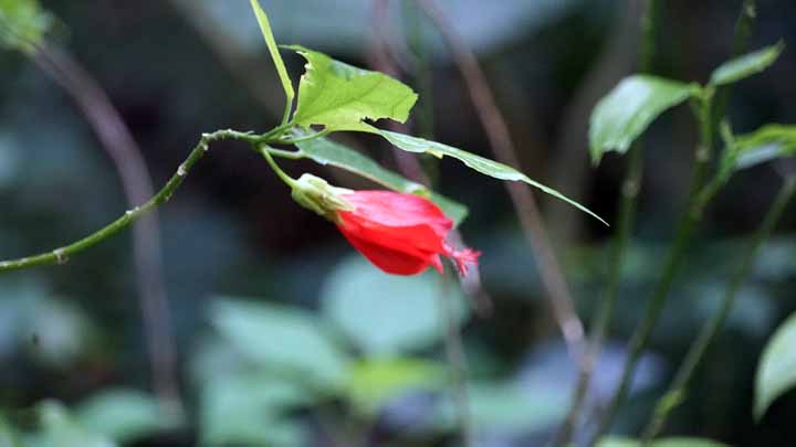 This picture is for quick loading of picture.